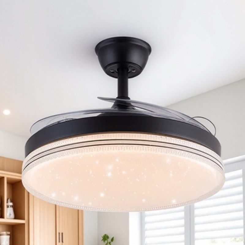 风扇灯带灯一体隐形客厅卧室灯餐厅电扇LEDK家用2025年新款吊扇灯