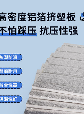 水暖炕家用水循环农村模块水暖电热炕板可调温主机榻榻米双温双切