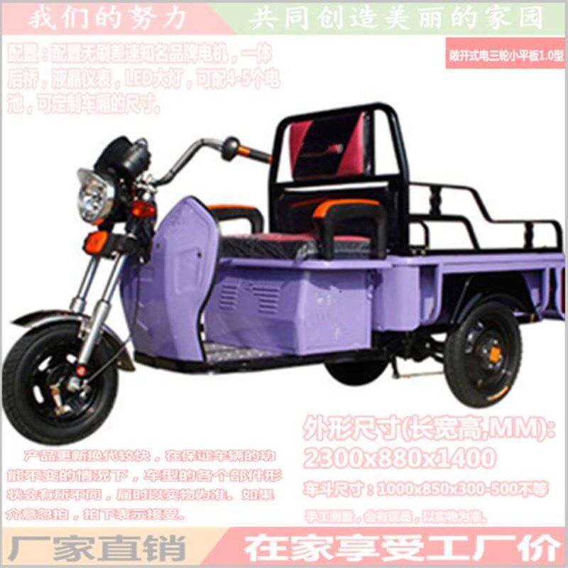 可载客和货运农用可加长电三轮车货车载货拉货电动折叠1.0米新款