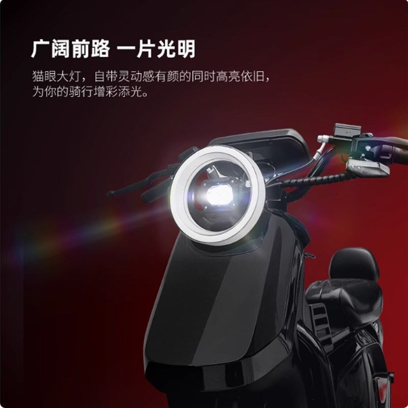 广爱U+B电动车新国标成人长跑王高速锂电池代步电动自行车