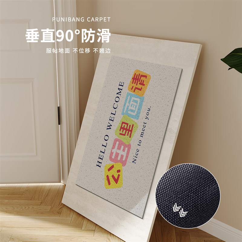 公主里面请入户门丝圈地垫门口防滑脚垫进门垫家用地毯可裁剪定制