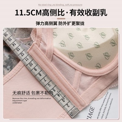 内衣女小胸聚拢平胸专用加厚6cm上托显大无钢圈防下垂调整型文胸