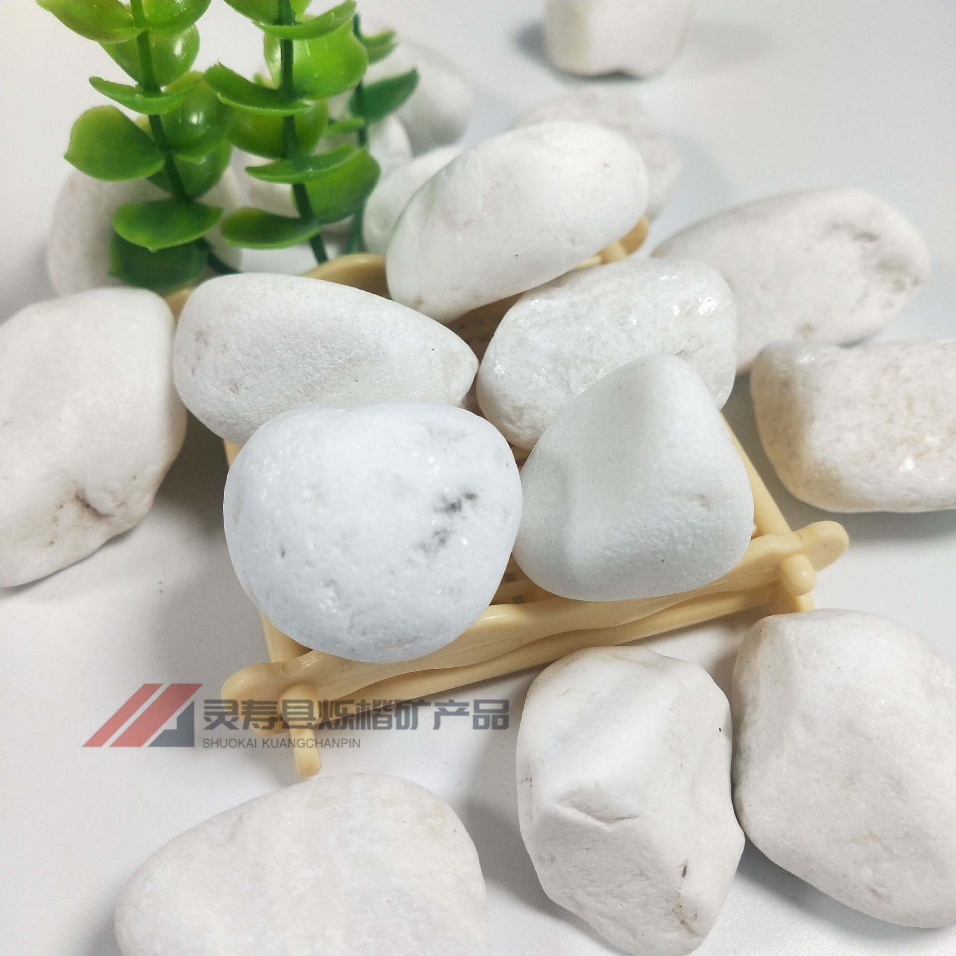 白色鹅卵石 白色石子 盆栽铺面雪花白 鱼缸造景机制雨花石头