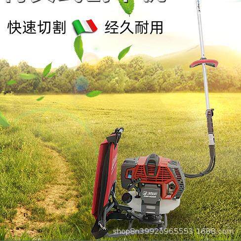 意大利二冲程割草机剪农业28割灌园林除草机机省力园林果园修机