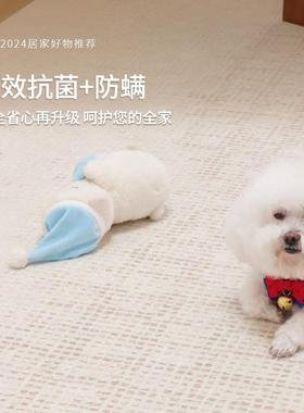 地可毯客厅2024款卧防室家用水免打Sfyr0907理地垫新床边奶油风免