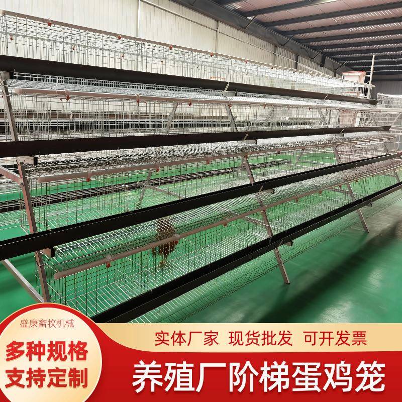 大型养殖场用阶梯式蛋鸡笼A字形养鸡设备白食槽绿食槽镀锌养殖笼