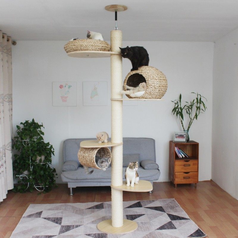 顶天立地实木通天柱猫爬架不占地猫树高层大型太空舱猫窝剑麻绳柱,宠物/宠物食品及用品,猫爬架,淘宝优惠券,粉丝福利购,淘宝优惠卷
