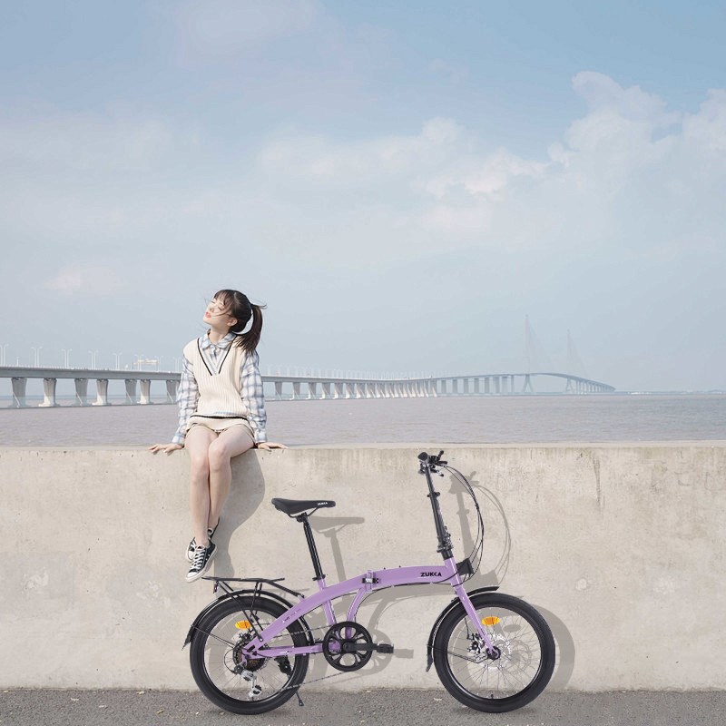 20寸7速折叠车免安装调试带猪鼻扣自行车超轻便携碟刹男女通勤车