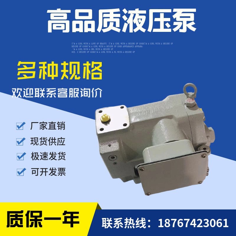 转子泵RP08A1-0m7X-30-T RP08A2-07X-30-T 液压泵 油泵