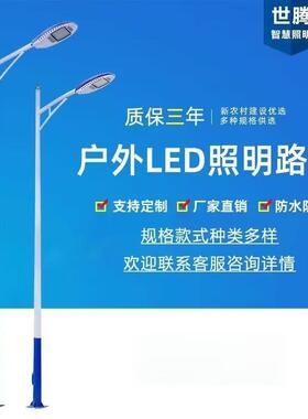 LED市电路灯市政道路单臂单头双臂双头8米10米12米城市照明路灯杆