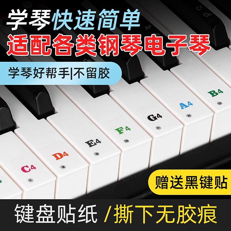 音名唱名88键61键54t键初学自学透明贴钢琴电电子琴键盘贴纸考级