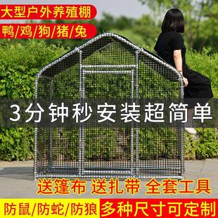 养大型殖棚养殖笼DCR户外鸡棚鸽子棚家禽鸭小型养殖棚子鹅兔鸡家