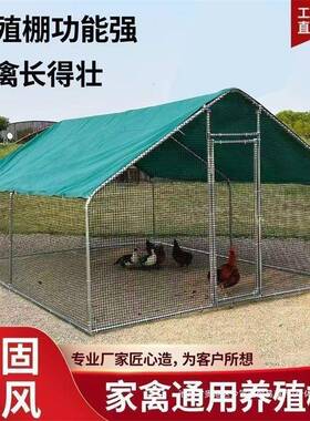 户外鸡棚鸡鸡笼鸡舍笼养鸡家特大号禽养殖YME防雨孔雀鸽大型搭建