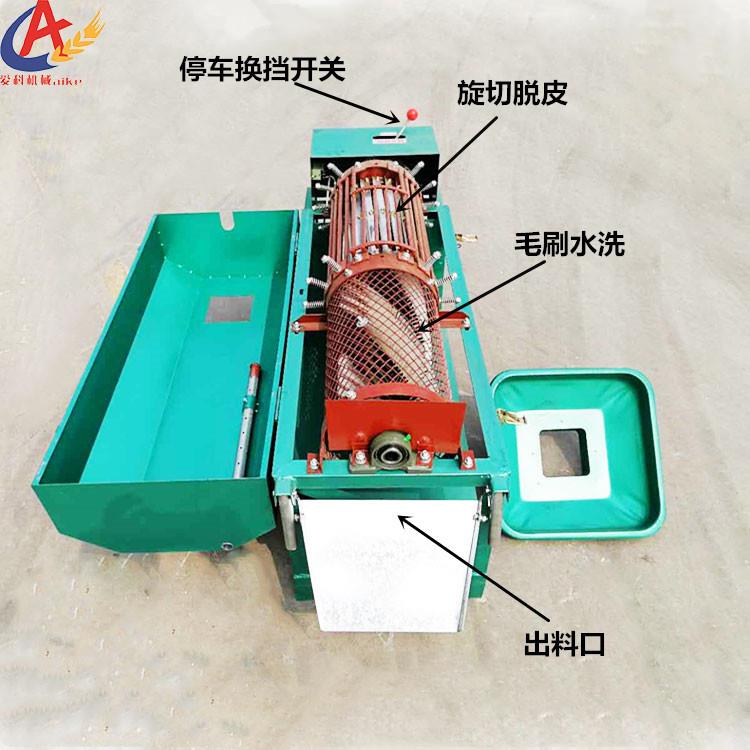 全毛刷不伤核桃家动用小型去皮剥水洗核桃去UGP皮机薄皮壳自冲洗