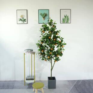 真子树绿桔植盆栽店铺橱窗装饰造景设计仿真子加密款橘树假220305