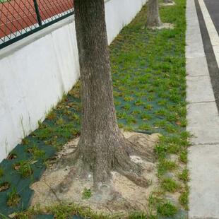 植草安全QPI地垫胶砖塑地砖树脂瓦地板橡胶地橡垫胶地砖