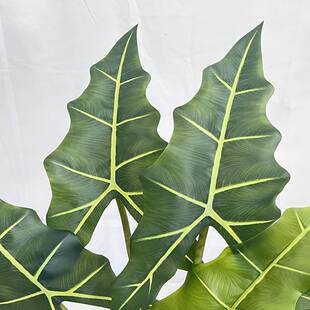 仿真绿植萨利安海芋盆栽跨境室内橱窗装饰造景仿真海芋仿生植物