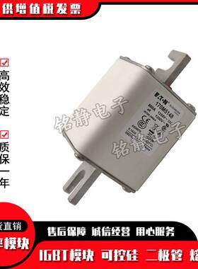 170M5536 170M5537 170M5538 170M5539巴斯曼熔断器现货170M5540