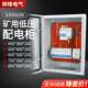 矿用低压成套配电箱箱GKD矿安开关般照明箱井检修一500 400 矿型