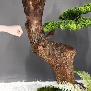 仿真松树迎客松大仿国树罗20240420汉松假树酒店橱窗中风落真地装