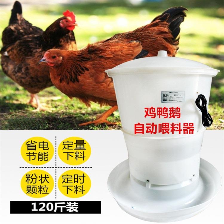 养鸡场喂料机养殖场喂自动料鸡鸭器自鹅鸽EWX由采食槽家禽养殖采