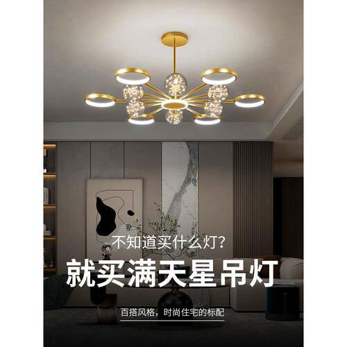 网客大厅主灯2025新款现代简约气高端轻吊奢创意极简红艺术星892