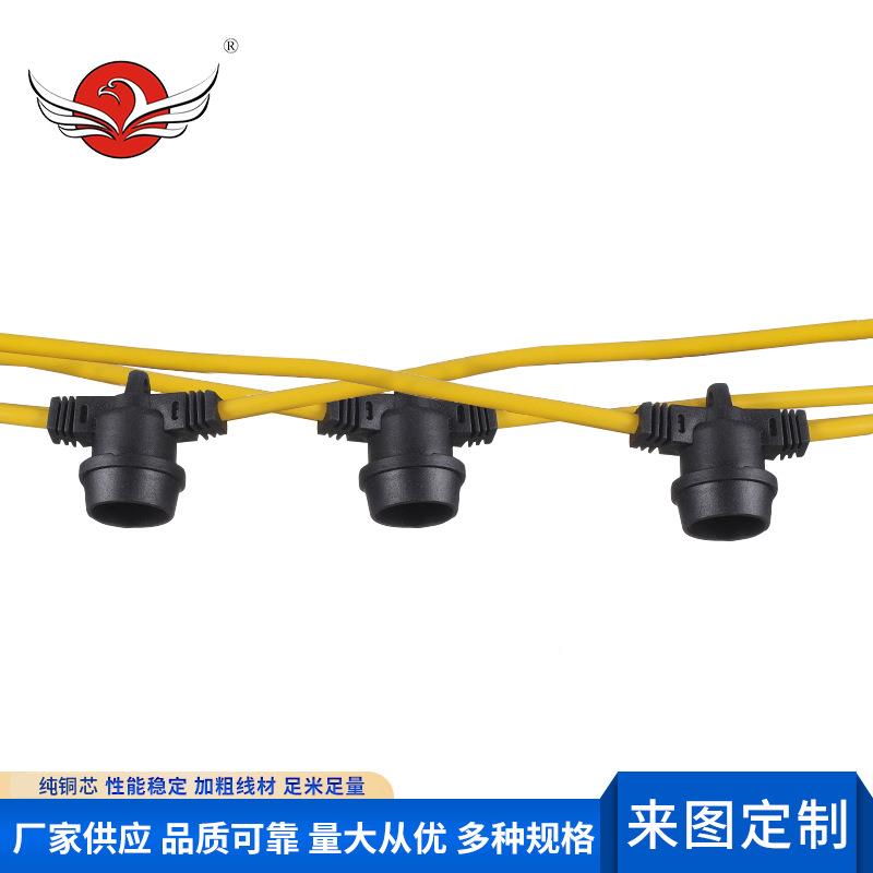 彩色线户外防水灯串光线植物补灯火龙果灯电源聚CZU会营灯露串