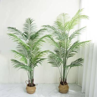 仿真散尾葵妃葵凤葵散尾竹盆栽尾人造植塑料植物室YC20101内外物