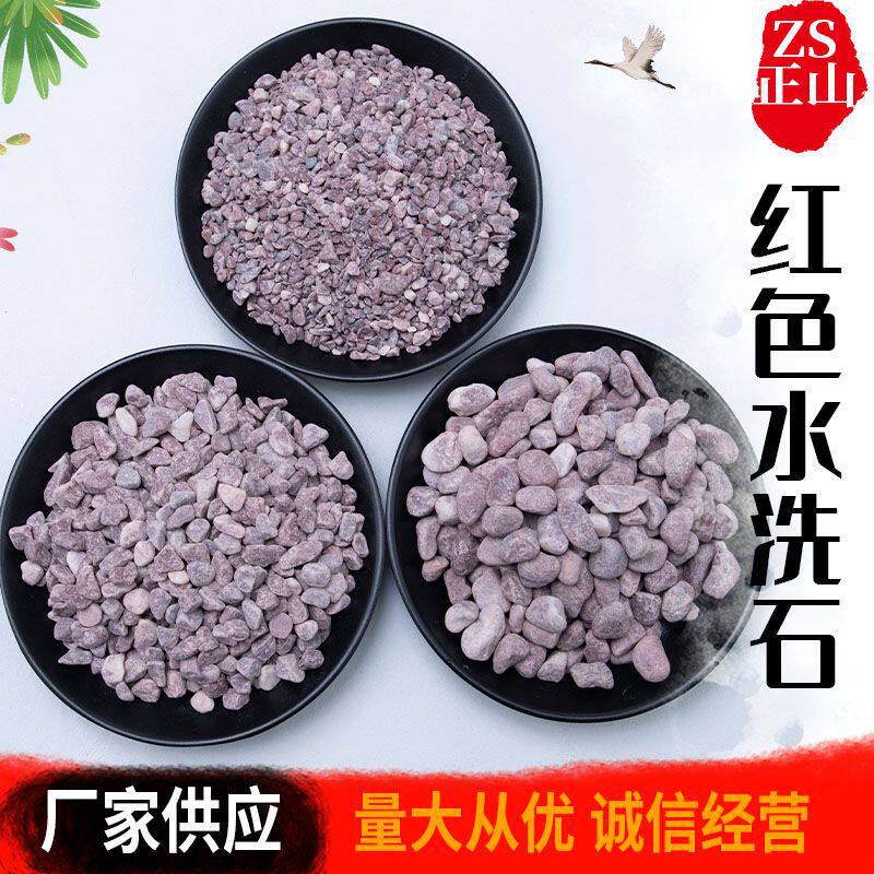 红色水洗石园林装饰多肉花盆铺面洗米石日式水磨小石子碎石头