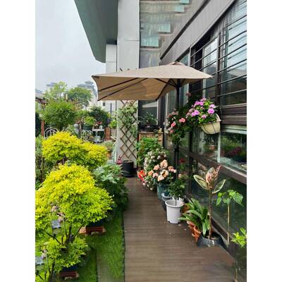 户外半边伞靠遮阳伞庭高院伞可调节度花园边单伞侧边伞遮阳253墙