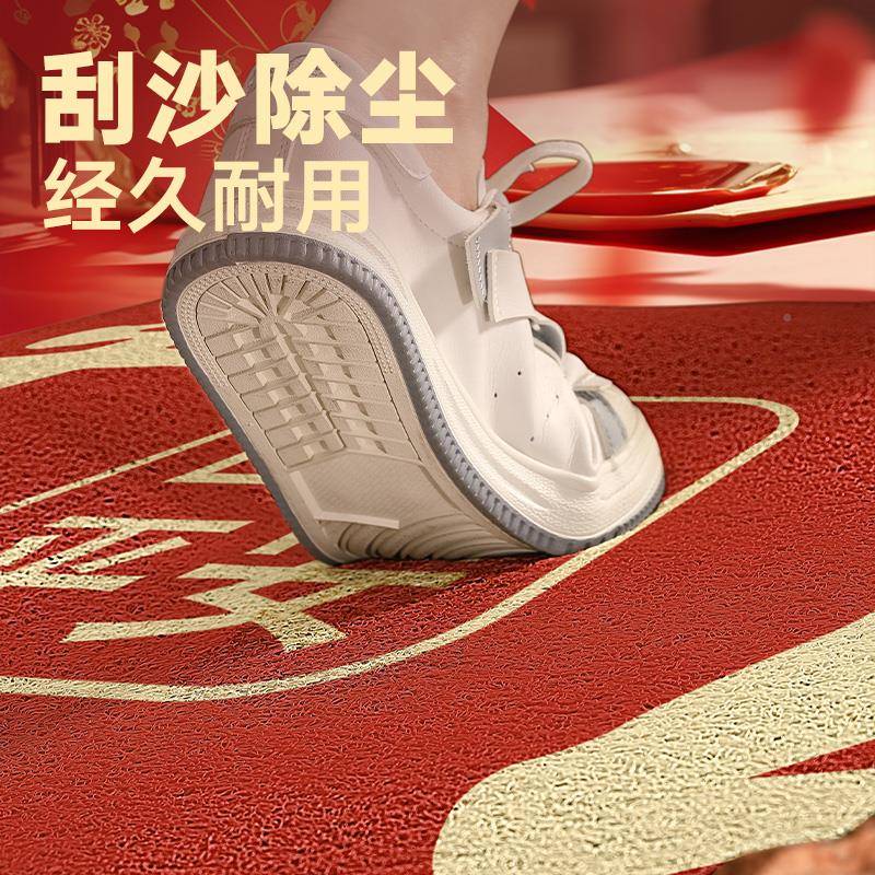 地垫入户2025新款进门门脚口耐垫F77TM5TH脏门关红色玄地毯丝圈入
