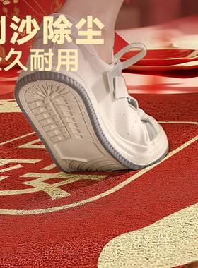 地垫入户2025新款进门门脚口耐垫F77TM5TH脏门关红色玄地毯丝圈入