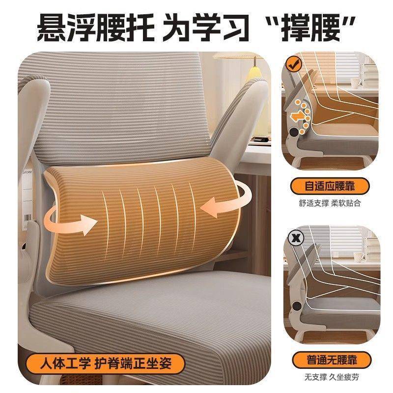 电脑椅生学靠背舒适学升降款座椅久坐家习用书桌卧室新HIB人体工