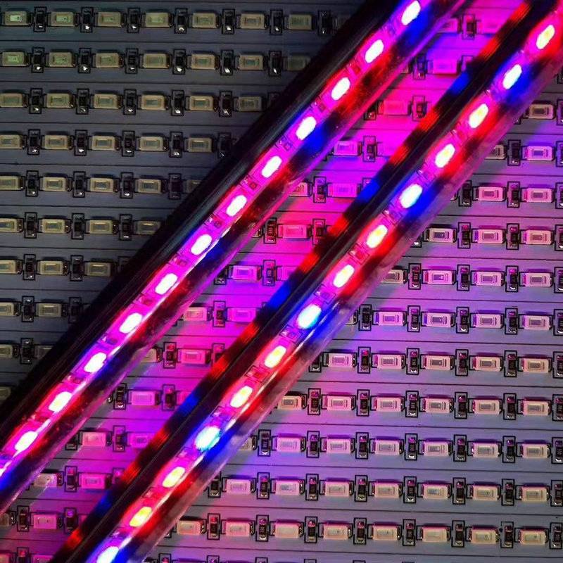 0.5W5730植物生长灯珠红光660nm晶元芯片灯具颗粒照明LED贴片灯珠