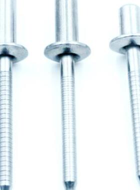 GB126铆15抽芯钉ICMd4.+8封闭型扁头圆不锈钢不锈钢