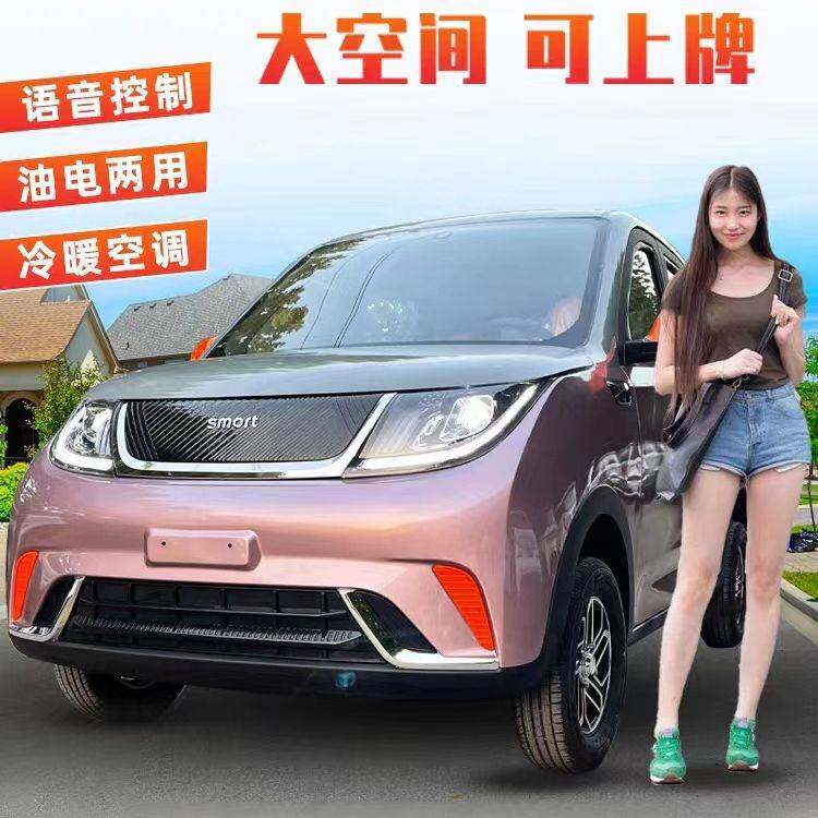 低速代步车四轮电动新能源海豚小型家用接送孩子女士代步新款