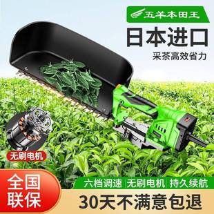 进口电动AUS采机新人款 茶园林修剪绿篱小型单家机用锂电采 充电式