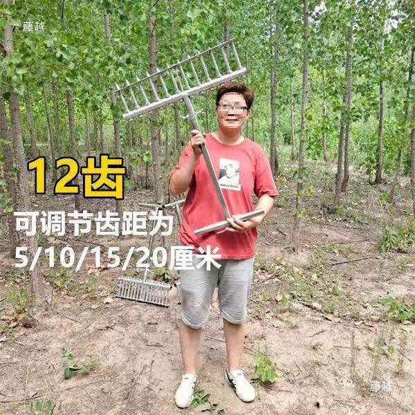 种葱栽葱机器栽苗器大葱叉子自动打孔工具洋葱种菜移栽移苗器