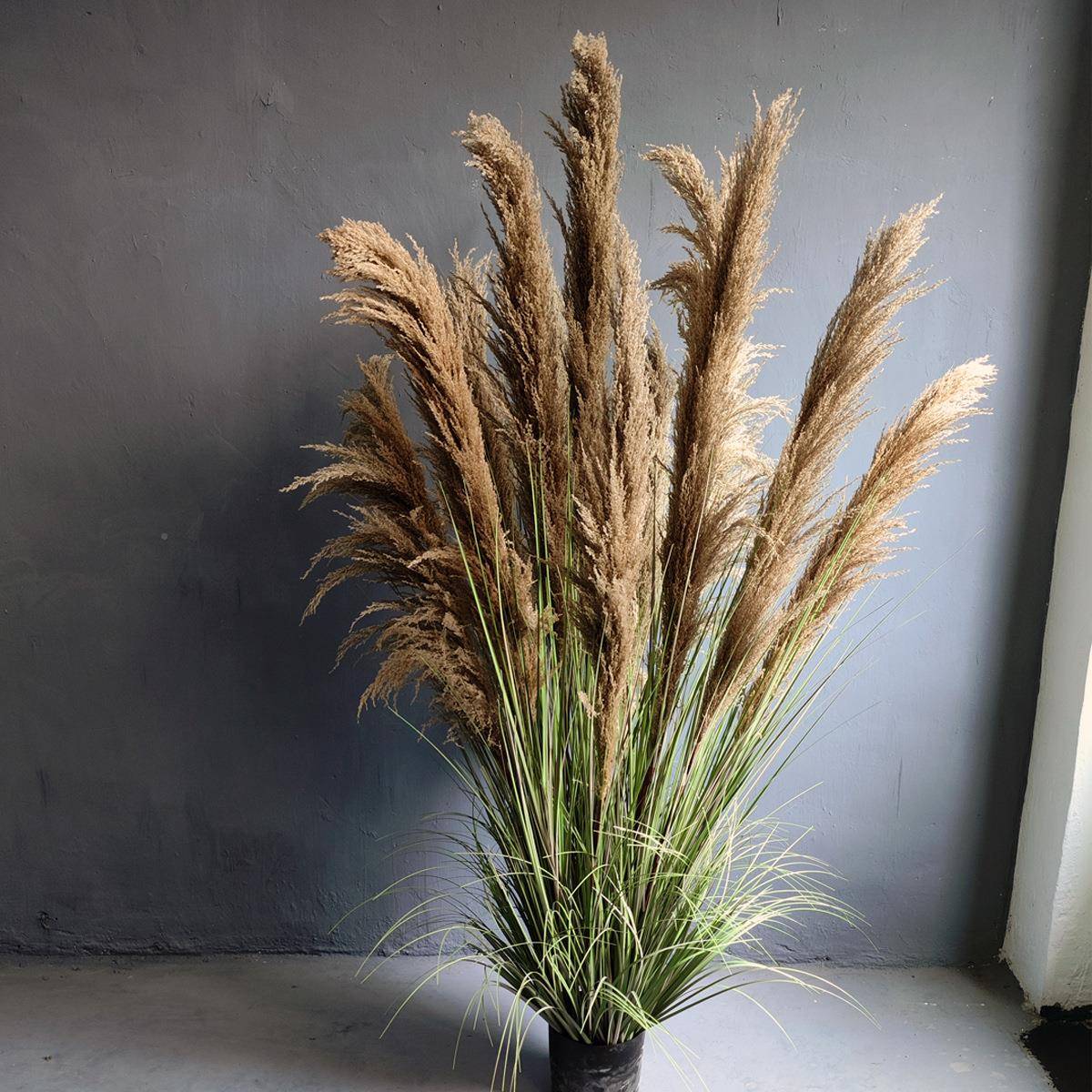 天然芦狗苇假MY-PW250花绿植尾商场店面植物造景家居盆真栽摆件仿