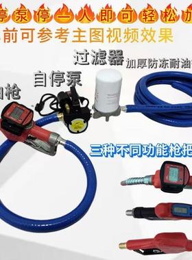 抽泵柴油正反转12V2ECI4自油V220V自吸泵停泵停计量封加油泵