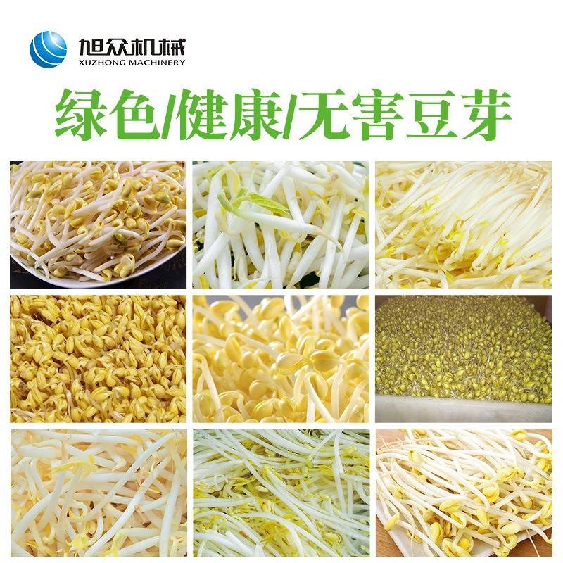 商用型豆芽机全自动智能化多功能绿豆发芽机不锈钢箱式大型豆芽机