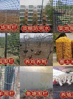 PP防黑色塑料格栅路基增边强坡护加筋加固双向拉伸土工YVO厂护家