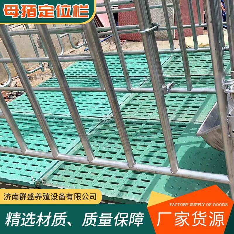 母猪定栏限位JQR栏猪圈栏位养猪用复漏合位粪母板猪产床保育半限