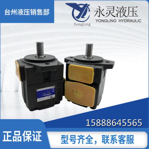 仙居YLC永灵PV2R1-31/28/25/23/21/19/17/14/PV2R1-12/10叶片泵