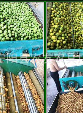 1去500型9轴核青桃去皮机锯齿辊毛刷清洗脱壳机YHX机核桃皮甘肃商