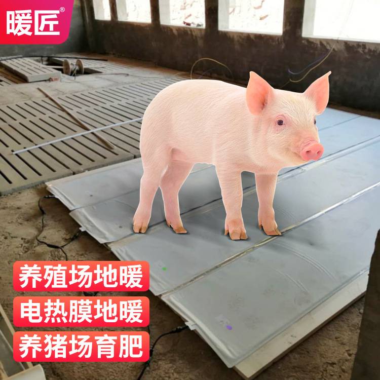仔猪电热板发热片小猪恒温产床保育发热膜小猪板电热膜取暖