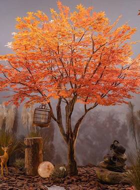 精景品真枫叶92633树红枫树大型绿植仿装饰室内外枯式山水日造假黄枫树