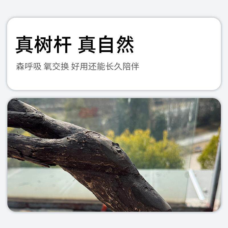 简海岛春花绿植室高端式约仿真装饰大型散尾葵20内新中景观树软装