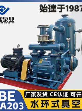 水环真空引水系统2BEA203真空泵37kW叶轮304缓冲罐气液分离罐自吸