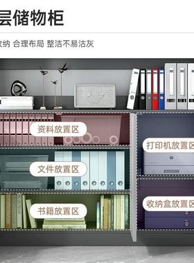 文件柜办公柜子柜置物柜储物柜办收公室书料柜纳柜落资地LEY档案